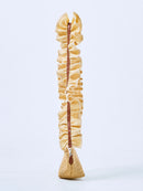 ANGEL SHOULDER RAFFIA