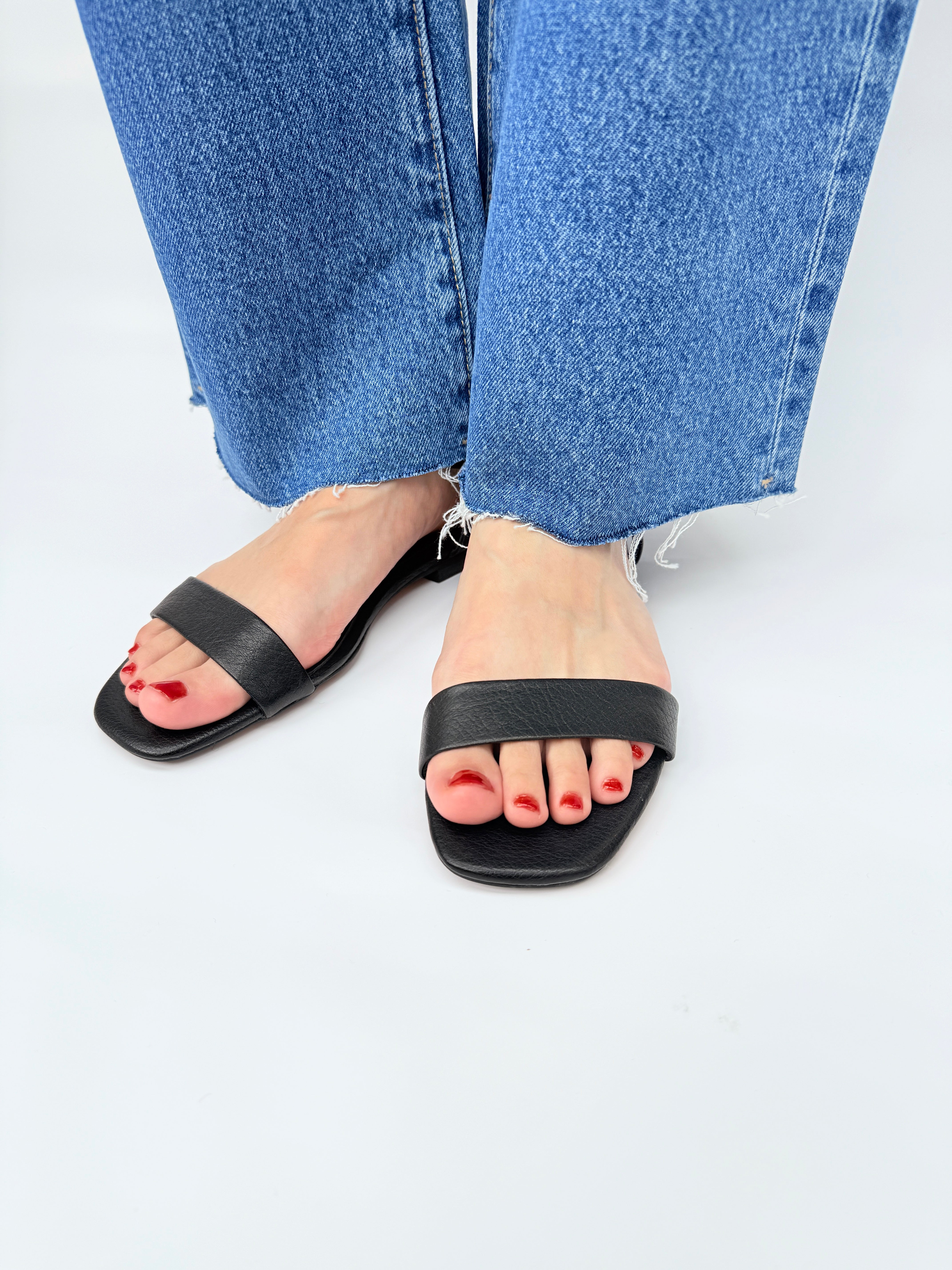 MOLLINI – HOUSE by Jack of All Trades