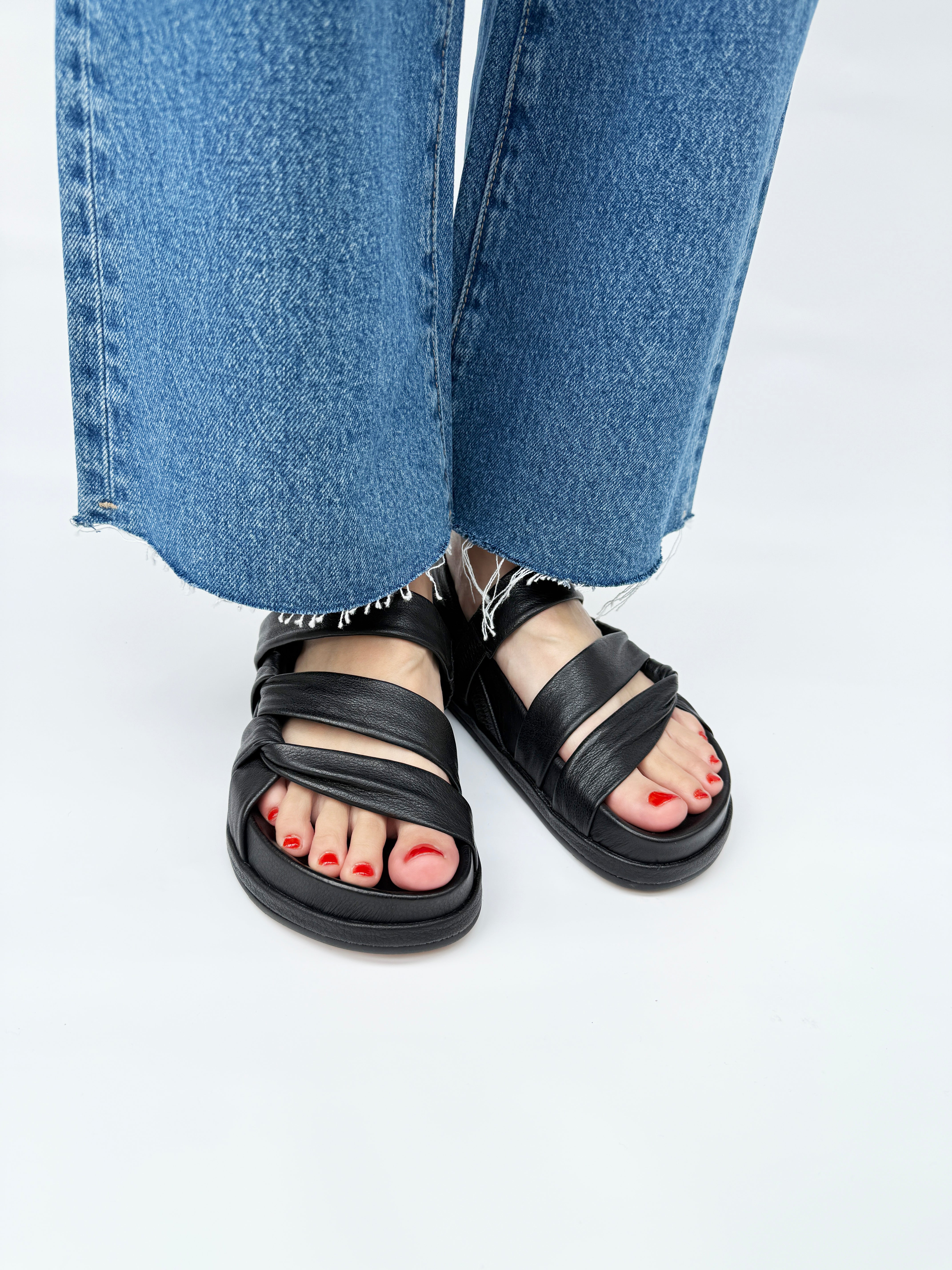 MOLLINI – HOUSE by Jack of All Trades