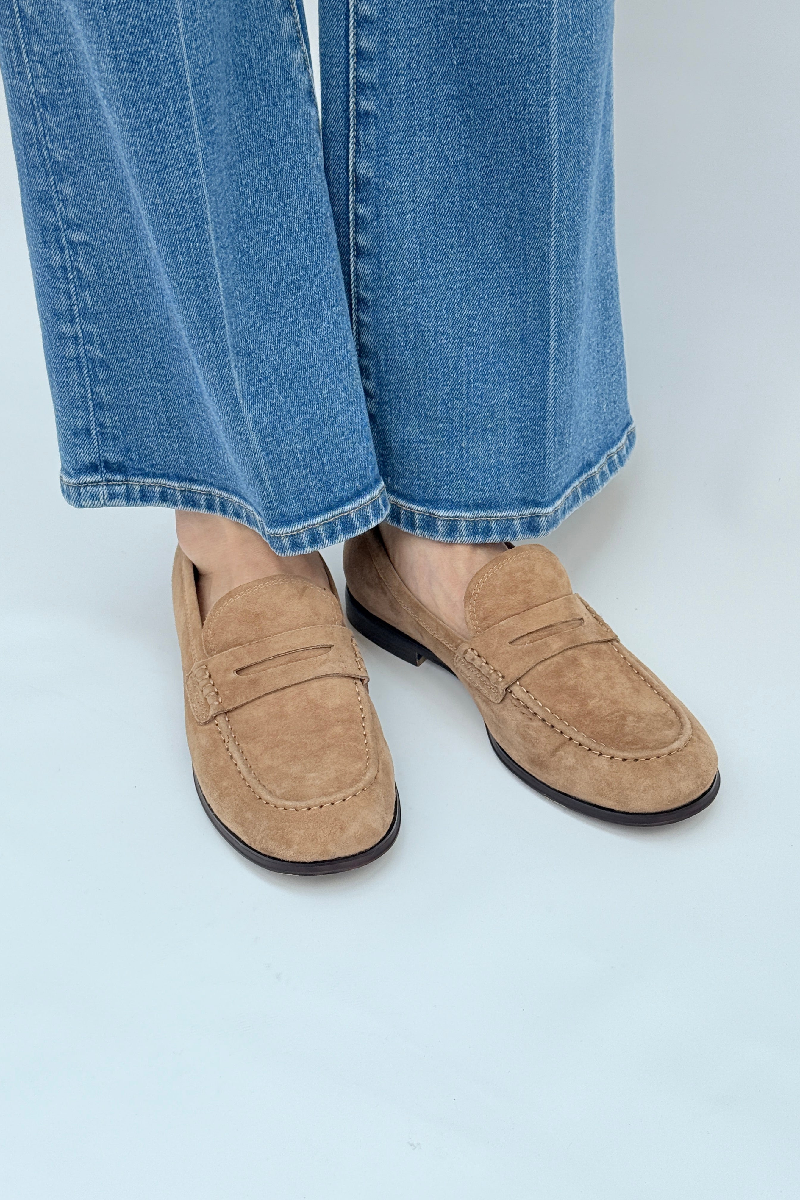 MOLLINI – HOUSE by Jack of All Trades