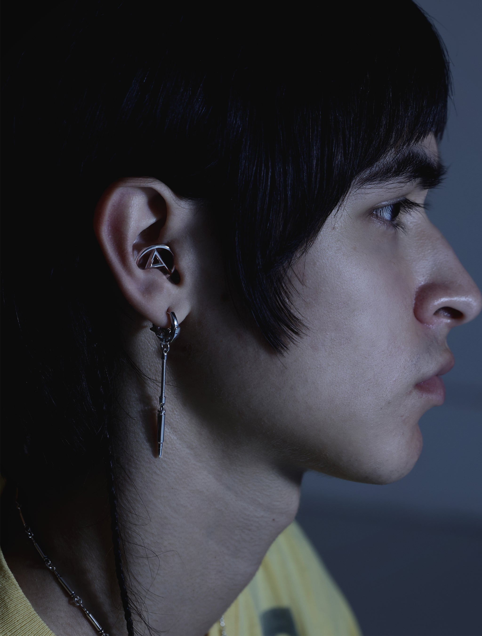 MAVERICK Earchip (A)