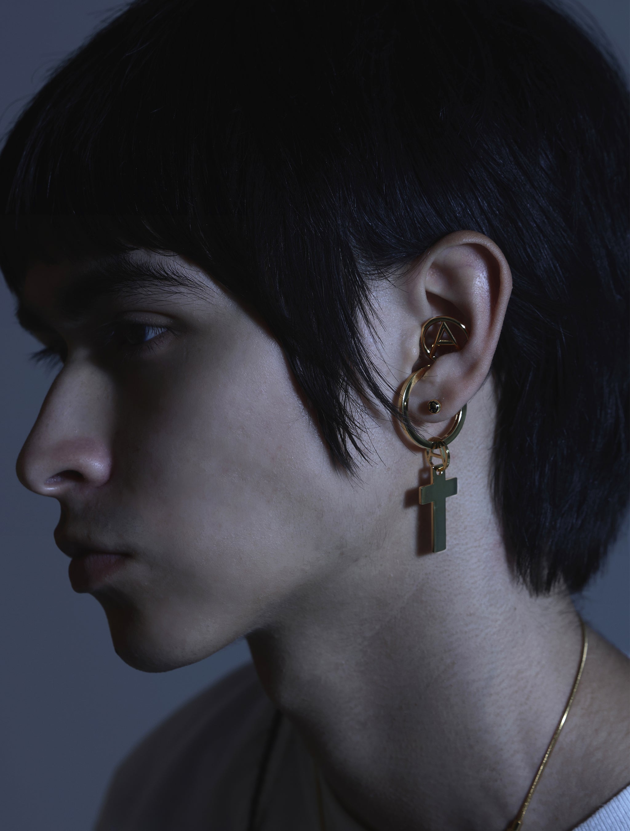 MAVERICK Earchip (A)