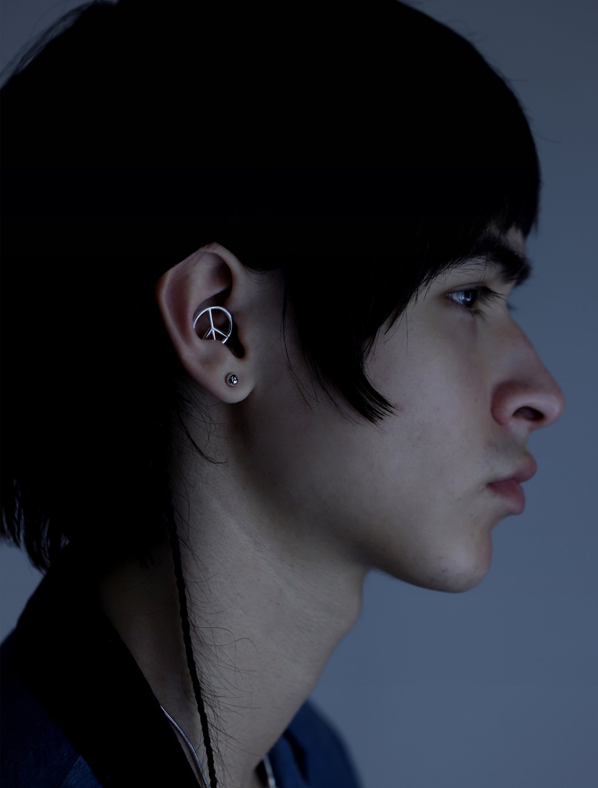 MAVERICK Earchip (P)