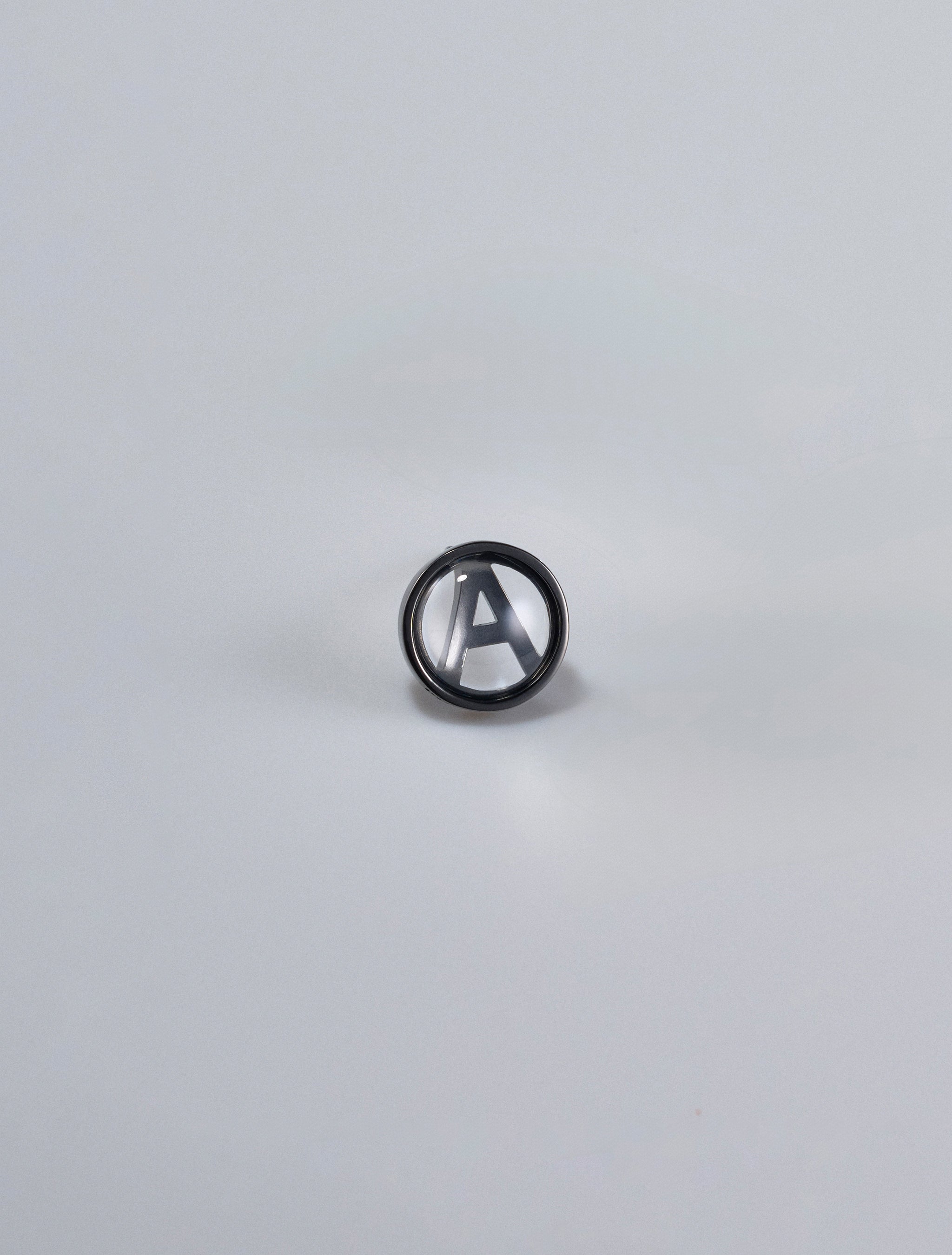 PRETTY THINGS Earring/ANARCHY