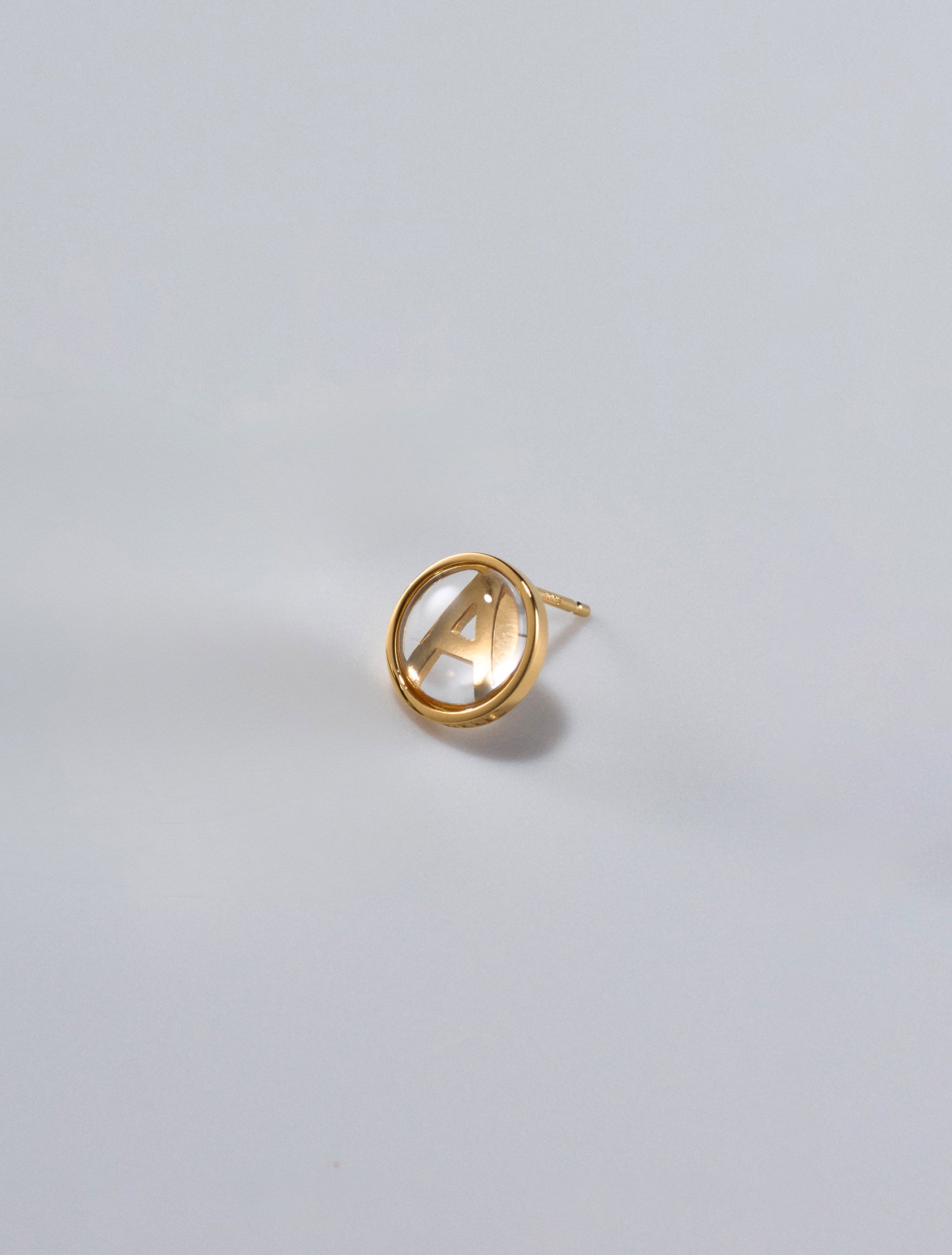 PRETTY THINGS Earring/ANARCHY